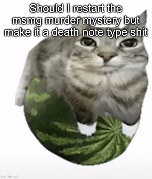 Happ | Should I restart the msmg murder mystery but make it a death note type shit | image tagged in happ | made w/ Imgflip meme maker