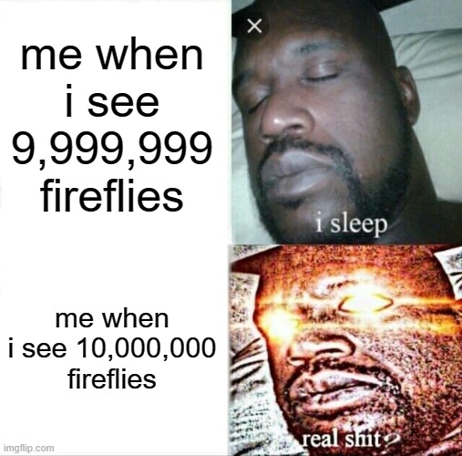 Thats when things get crazy | me when i see 9,999,999 fireflies; me when i see 10,000,000 fireflies | image tagged in memes,sleeping shaq,funny,lol,daily meme | made w/ Imgflip meme maker
