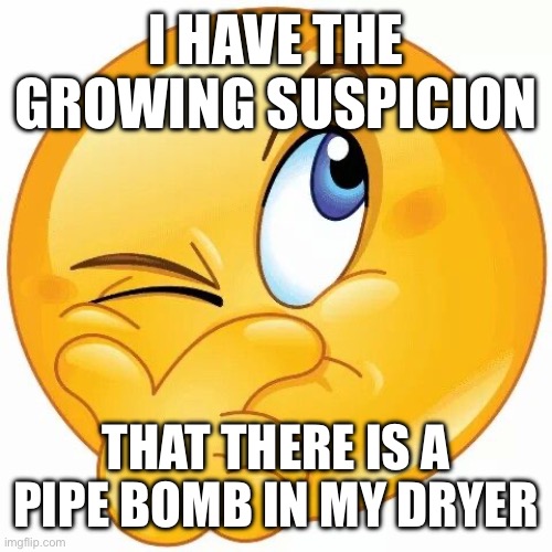 think emoji | I HAVE THE GROWING SUSPICION; THAT THERE IS A PIPE BOMB IN MY DRYER | image tagged in think emoji | made w/ Imgflip meme maker