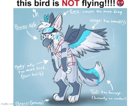 (thunderfennec) | made w/ Imgflip meme maker