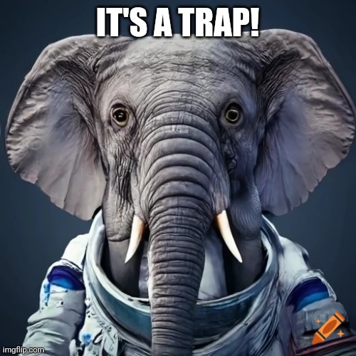 It's a trap | IT'S A TRAP! | image tagged in it's a trap | made w/ Imgflip meme maker