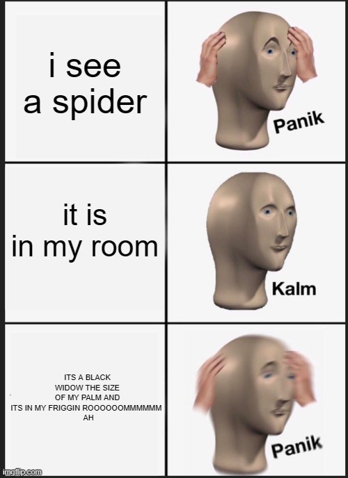 Panik Kalm Panik Meme | i see a spider; it is in my room; ITS A BLACK WIDOW THE SIZE OF MY PALM AND ITS IN MY FRIGGIN ROOOOOOMMMMMM 
 AH | image tagged in memes,panik kalm panik | made w/ Imgflip meme maker