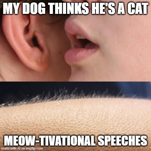 Dog Cat | MY DOG THINKS HE'S A CAT; MEOW-TIVATIONAL SPEECHES | image tagged in whisper and goosebumps | made w/ Imgflip meme maker
