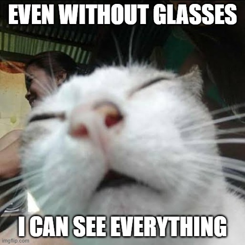 I can see everything | EVEN WITHOUT GLASSES; I CAN SEE EVERYTHING | image tagged in squinting eyes cat | made w/ Imgflip meme maker