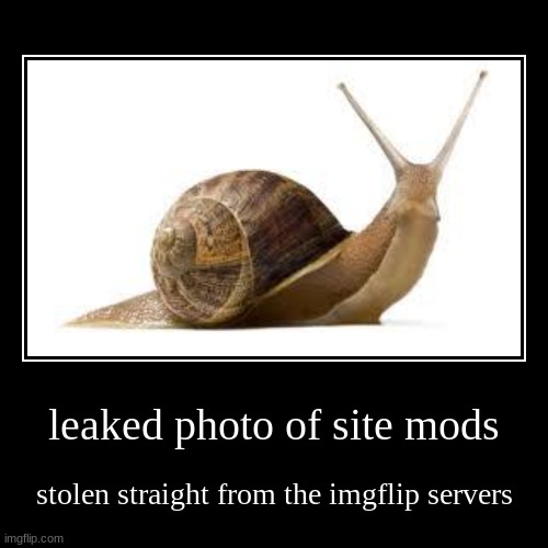 site mods | image tagged in site mods | made w/ Imgflip meme maker