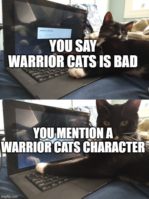 Keyboard Warrior Cat | YOU SAY WARRIOR CATS IS BAD; YOU MENTION A WARRIOR CATS CHARACTER | image tagged in keyboard warrior cat | made w/ Imgflip meme maker