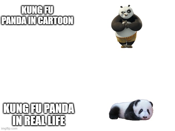 KUNG FU PANDA IN CARTOON; KUNG FU PANDA IN REAL LIFE | image tagged in kung fu panda | made w/ Imgflip meme maker