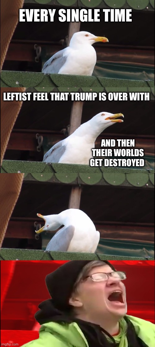 Inhaling Seagull | EVERY SINGLE TIME; LEFTIST FEEL THAT TRUMP IS OVER WITH; AND THEN THEIR WORLDS GET DESTROYED | image tagged in memes,inhaling seagull | made w/ Imgflip meme maker