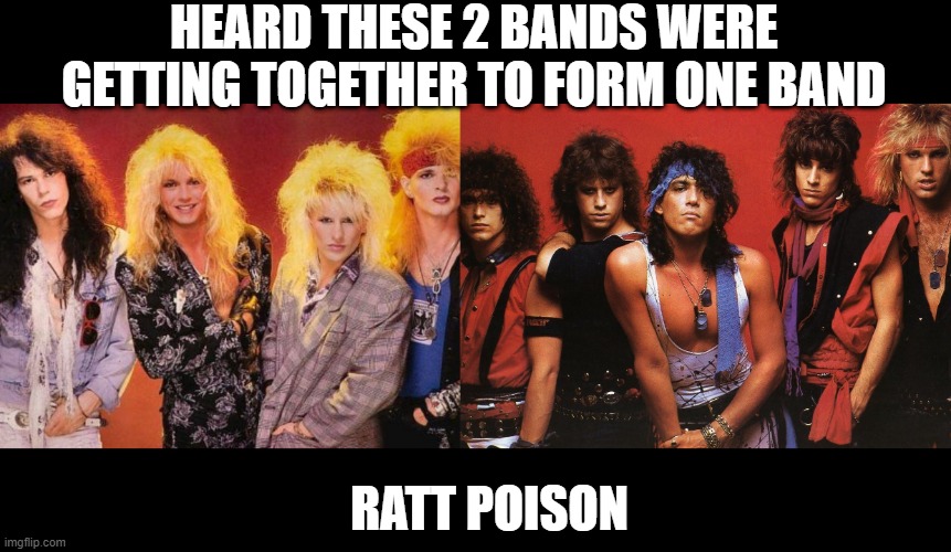 New Band | HEARD THESE 2 BANDS WERE GETTING TOGETHER TO FORM ONE BAND; RATT POISON | image tagged in poison,ratt | made w/ Imgflip meme maker