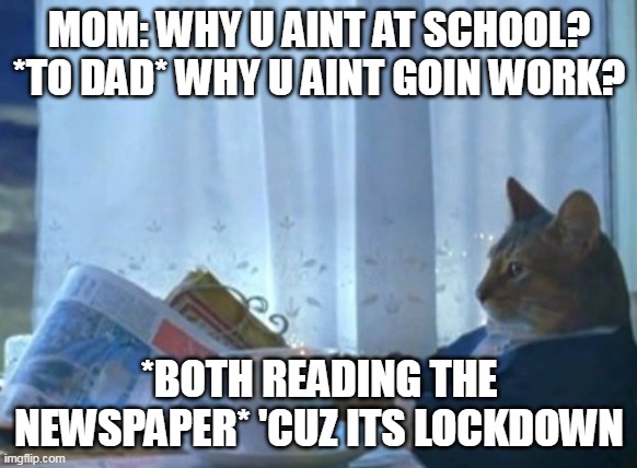 Im sry but this meme was made in 2024 but time traveled to 2020 | MOM: WHY U AINT AT SCHOOL?
*TO DAD* WHY U AINT GOIN WORK? *BOTH READING THE NEWSPAPER* 'CUZ ITS LOCKDOWN | image tagged in memes,i should buy a boat cat | made w/ Imgflip meme maker