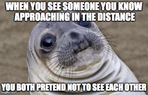 Awkward Moment Sealion Meme | WHEN YOU SEE SOMEONE YOU KNOW APPROACHING IN THE DISTANCE YOU BOTH PRETEND NOT TO SEE EACH OTHER | image tagged in memes,awkward moment sealion,AdviceAnimals | made w/ Imgflip meme maker