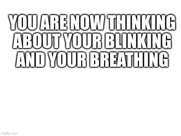 YOU ARE NOW THINKING ABOUT YOUR BLINKING AND YOUR BREATHING | made w/ Imgflip meme maker