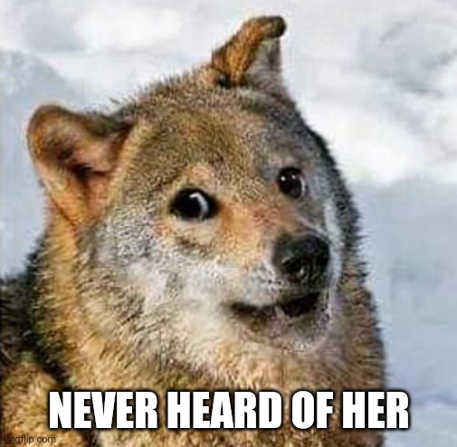 Funny yellow dog? Never heard of him | NEVER HEARD OF HER | image tagged in funny yellow dog never heard of him | made w/ Imgflip meme maker