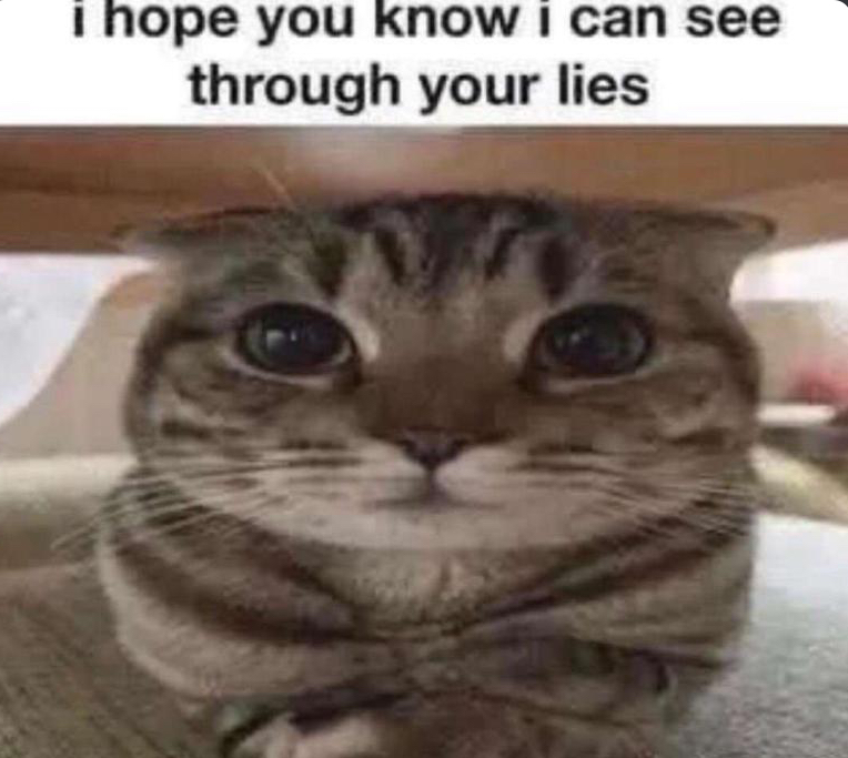 I can see through your lies Blank Meme Template