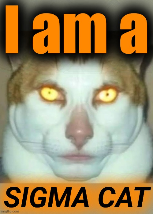 Sigma Cat | I am a SIGMA CAT | image tagged in sigma cat | made w/ Imgflip meme maker