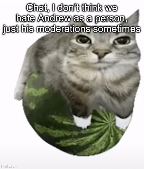 I personally feel this way | Chat, I don’t think we hate Andrew as a person, just his moderations sometimes | image tagged in happ | made w/ Imgflip meme maker