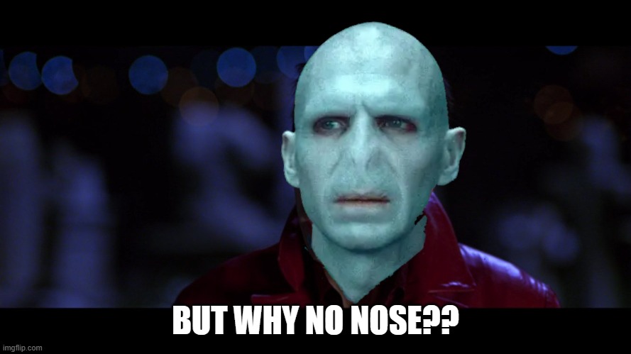 Voldemort but why no nose? | BUT WHY NO NOSE?? | image tagged in but why male models | made w/ Imgflip meme maker