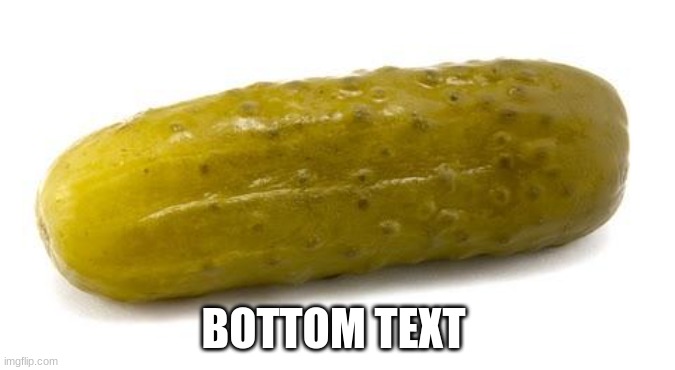 Pickle | BOTTOM TEXT | image tagged in pickle | made w/ Imgflip meme maker