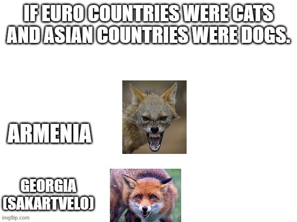 Asian hardware European software | image tagged in countryballs,funny,memes,animals,politics | made w/ Imgflip meme maker