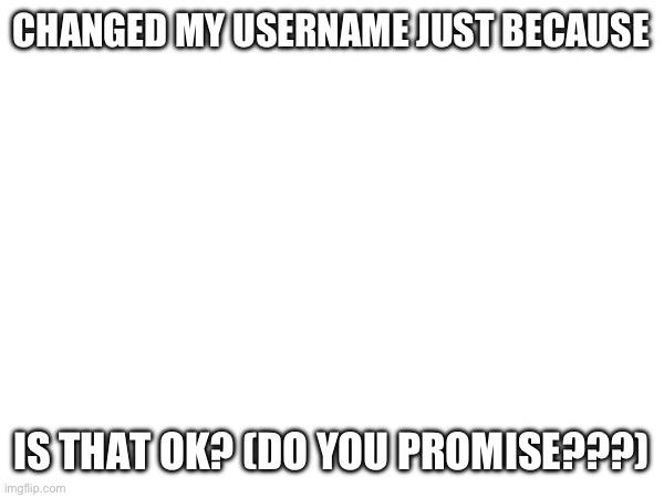 Meh | CHANGED MY USERNAME JUST BECAUSE; IS THAT OK? (DO YOU PROMISE???) | made w/ Imgflip meme maker