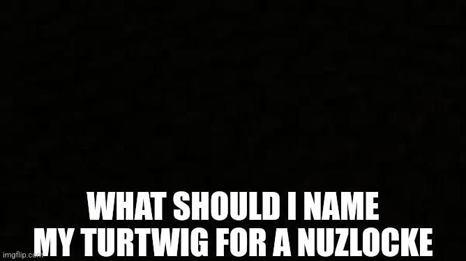 Black blank sheet | WHAT SHOULD I NAME MY TURTWIG FOR A NUZLOCKE | image tagged in black blank sheet | made w/ Imgflip meme maker