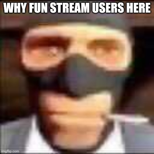 spi | WHY FUN STREAM USERS HERE | image tagged in spi | made w/ Imgflip meme maker