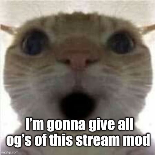 Happ | I’m gonna give all og’s of this stream mod | image tagged in happ | made w/ Imgflip meme maker