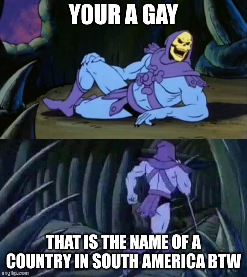 Skeletor disturbing facts | YOUR A GAY; THAT IS THE NAME OF A COUNTRY IN SOUTH AMERICA BTW | image tagged in skeletor disturbing facts,stupid,funny | made w/ Imgflip meme maker