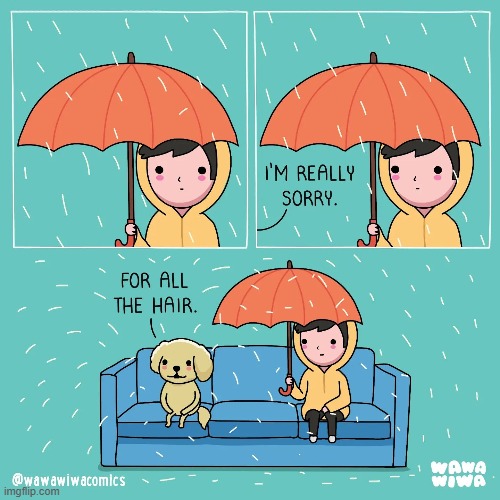 image tagged in rain,umbrella,dog,hair | made w/ Imgflip meme maker