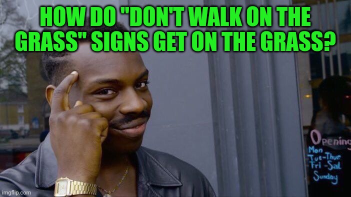 Roll Safe Think About It | HOW DO "DON'T WALK ON THE GRASS" SIGNS GET ON THE GRASS? | image tagged in memes,roll safe think about it | made w/ Imgflip meme maker
