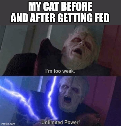 Too weak Unlimited Power | MY CAT BEFORE AND AFTER GETTING FED | image tagged in too weak unlimited power | made w/ Imgflip meme maker