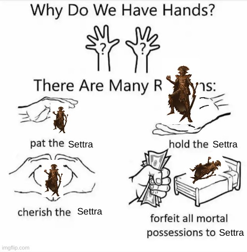 Why do we have hands? (all blank) | Settra; Settra; Settra; Settra | image tagged in why do we have hands all blank | made w/ Imgflip meme maker