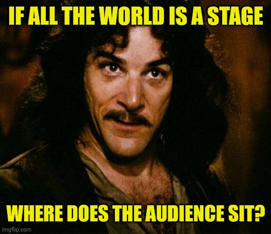 Inigo Montoya Meme | IF ALL THE WORLD IS A STAGE; WHERE DOES THE AUDIENCE SIT? | image tagged in memes,inigo montoya | made w/ Imgflip meme maker
