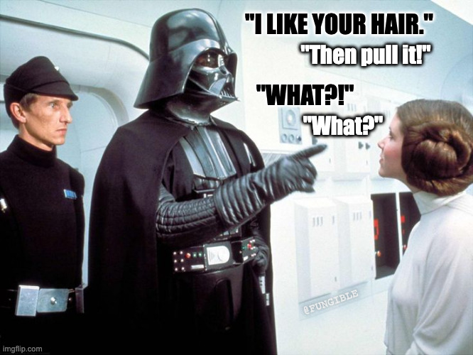 Darth Vader | "I LIKE YOUR HAIR."; "Then pull it!"; "WHAT?!"; "What?"; @FUNGIBLE | image tagged in darth vader | made w/ Imgflip meme maker
