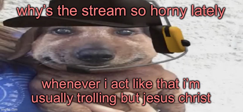 chucklenuts | why’s the stream so horny lately; whenever i act like that i’m usually trolling but jesus christ | image tagged in chucklenuts | made w/ Imgflip meme maker