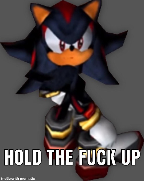 shadow hold tf up | image tagged in shadow hold tf up | made w/ Imgflip meme maker