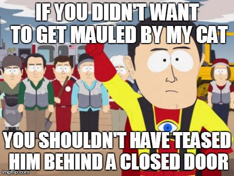 Captain Hindsight Meme | IF YOU DIDN'T WANT TO GET MAULED BY MY CAT YOU SHOULDN'T HAVE TEASED HIM BEHIND A CLOSED DOOR | image tagged in memes,captain hindsight | made w/ Imgflip meme maker