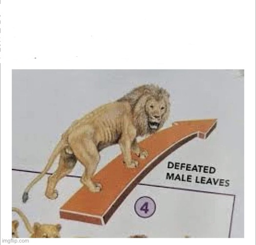 Defeated lion leaves | image tagged in defeated lion leaves | made w/ Imgflip meme maker