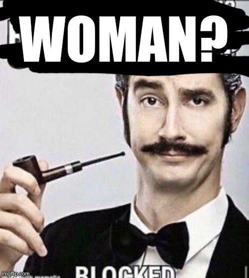 British blocked | WOMAN? | image tagged in british blocked | made w/ Imgflip meme maker