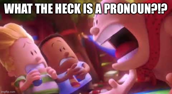 Captain Underpants Scream | WHAT THE HECK IS A PRONOUN?!? | image tagged in captain underpants scream | made w/ Imgflip meme maker
