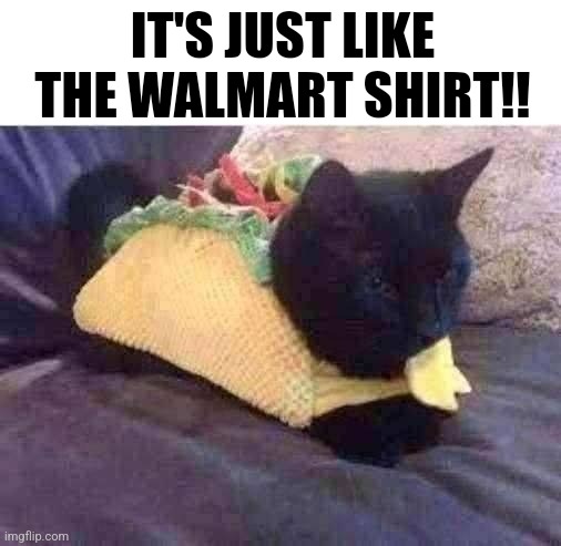 Idk | IT'S JUST LIKE THE WALMART SHIRT!! | image tagged in taco cat | made w/ Imgflip meme maker