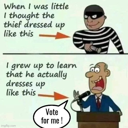 How a real thief dresses | Vote for me ! | image tagged in thief,politician,truth | made w/ Imgflip meme maker