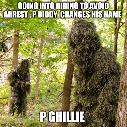 P Diddy | GOING INTO HIDING TO AVOID ARREST , P DIDDY  CHANGES HIS NAME; P GHILLIE | image tagged in funny memes | made w/ Imgflip meme maker