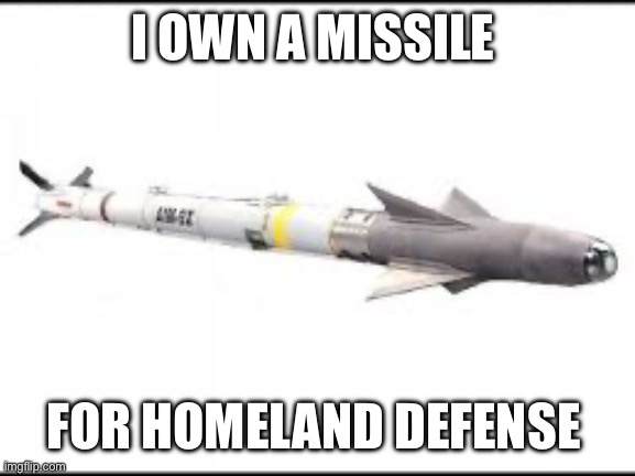 I own a missile for homeland defense | I OWN A MISSILE; FOR HOMELAND DEFENSE | image tagged in missile,funny,america | made w/ Imgflip meme maker