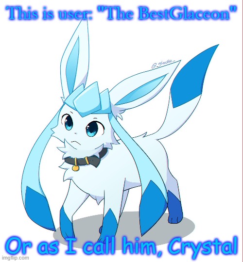 This is user: "The BestGlaceon"; Or as I call him, Crystal | image tagged in glaceon,frost,crystal | made w/ Imgflip meme maker