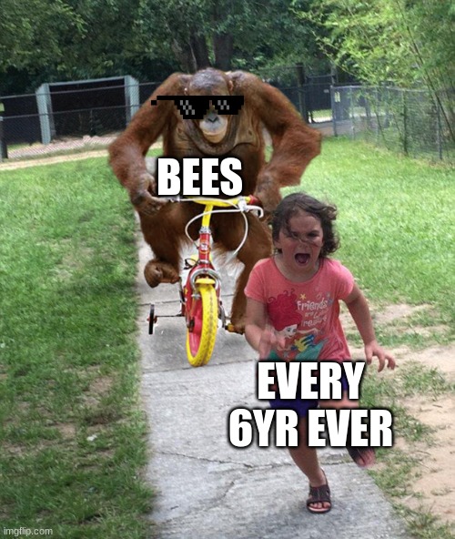 Orangutan chasing girl on a tricycle | BEES; EVERY 6YR EVER | image tagged in orangutan chasing girl on a tricycle | made w/ Imgflip meme maker