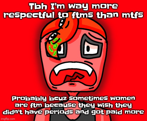 Anyway I'm a cis woman. I'm a tomboy (mascgirl lite) not even lgbt | Tbh I'm way more respectful to ftms than mtfs; Probably bcuz sometimes women are ftm because they wish they didn't have periods and got paid more | image tagged in octollie disturbed | made w/ Imgflip meme maker