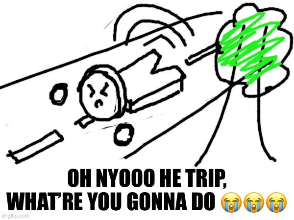 Nyooooo || Choice | OH NYOOO HE TRIP, WHAT’RE YOU GONNA DO 😭😭😭 | made w/ Imgflip meme maker
