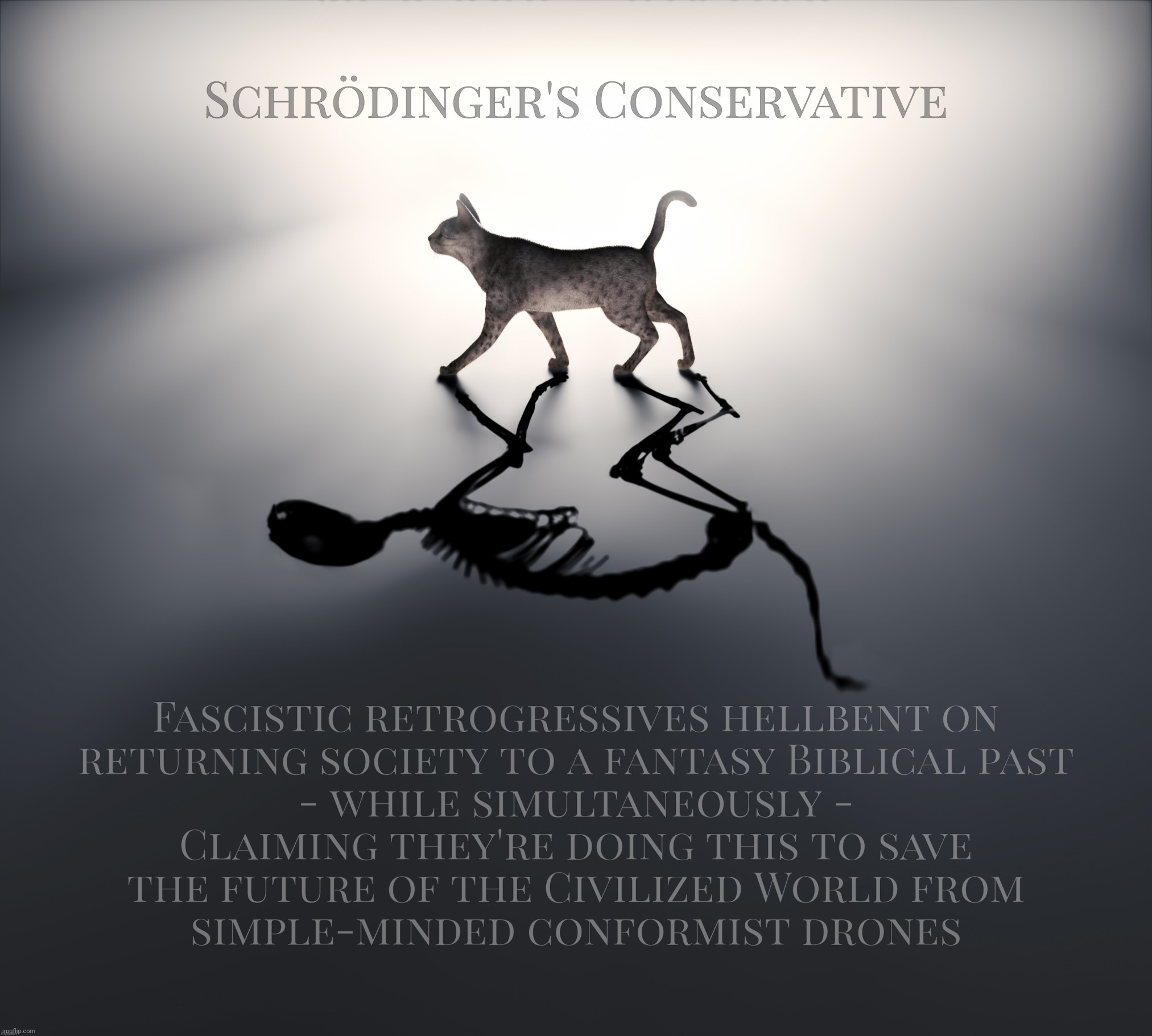 Schrödinger's Conservative | Schrödinger's Conservative; Fascistic retrogressives hellbent on
returning society to a fantasy Biblical past
- while simultaneously -
Claiming they're doing this to save
the future of the Civilized World from
simple-minded conformist drones | image tagged in schrodinger's cat,schrodinger's conservative,schrodinger's,conservatives,conformists,retrogressive | made w/ Imgflip meme maker