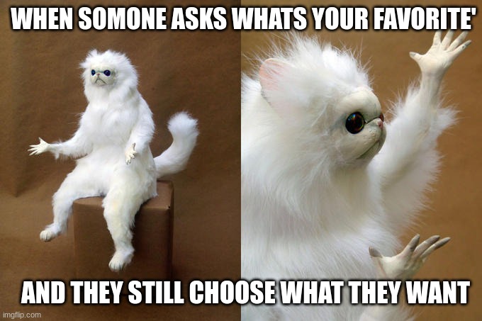 Persian Cat Room Guardian Meme | WHEN SOMONE ASKS WHATS YOUR FAVORITE'; AND THEY STILL CHOOSE WHAT THEY WANT | image tagged in memes,persian cat room guardian | made w/ Imgflip meme maker